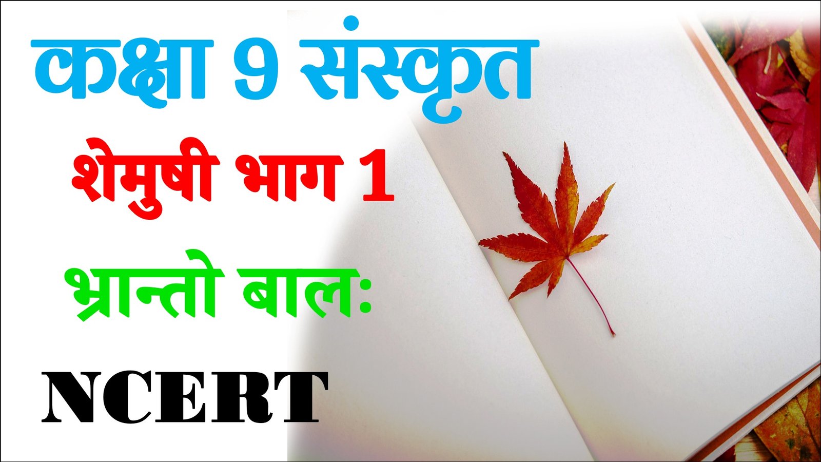 Class 9 Sanskrit Bhranto Balah Objective