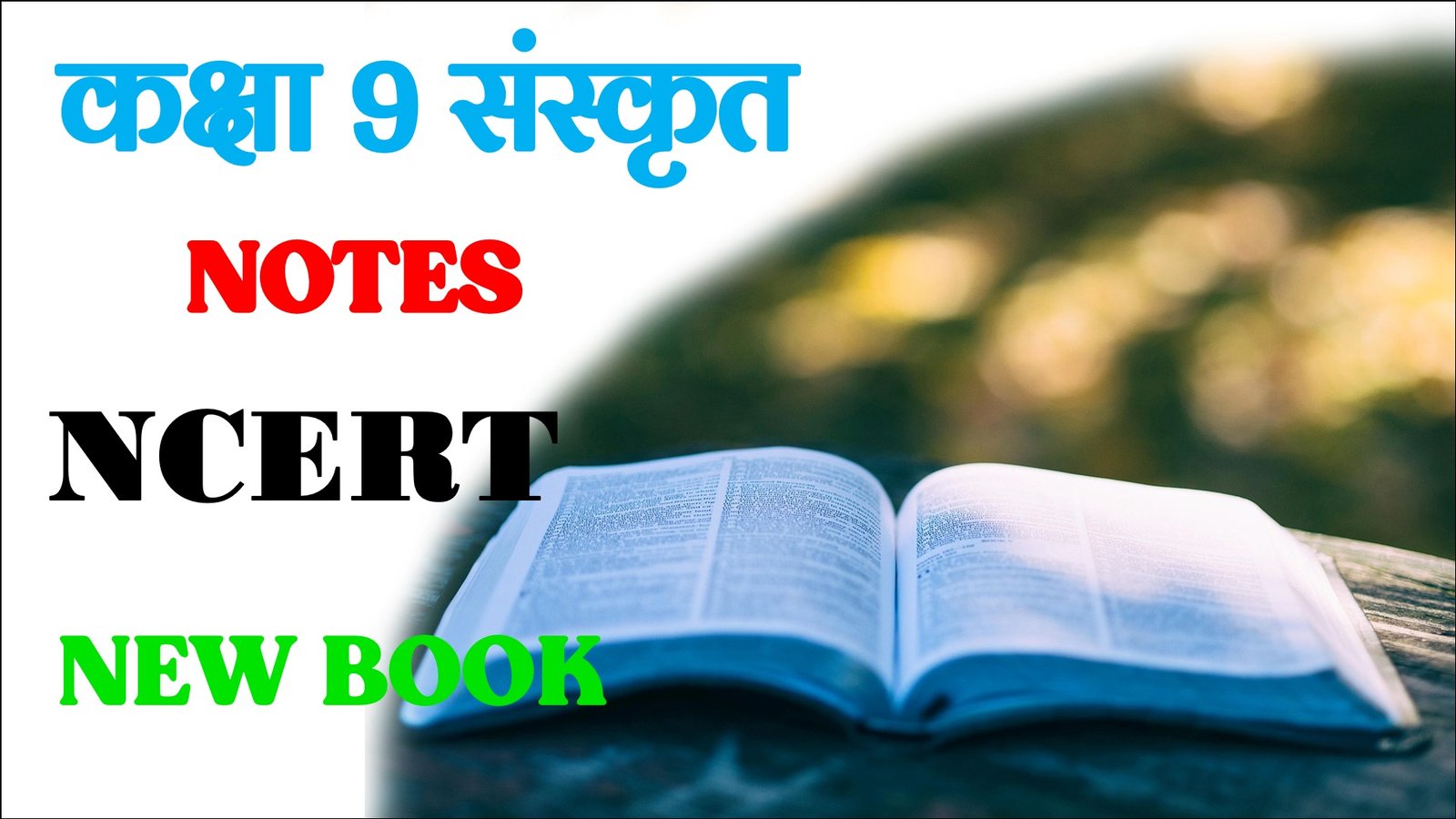 NCERT Class 9 Sanskrit Shemushi MCQ Objective